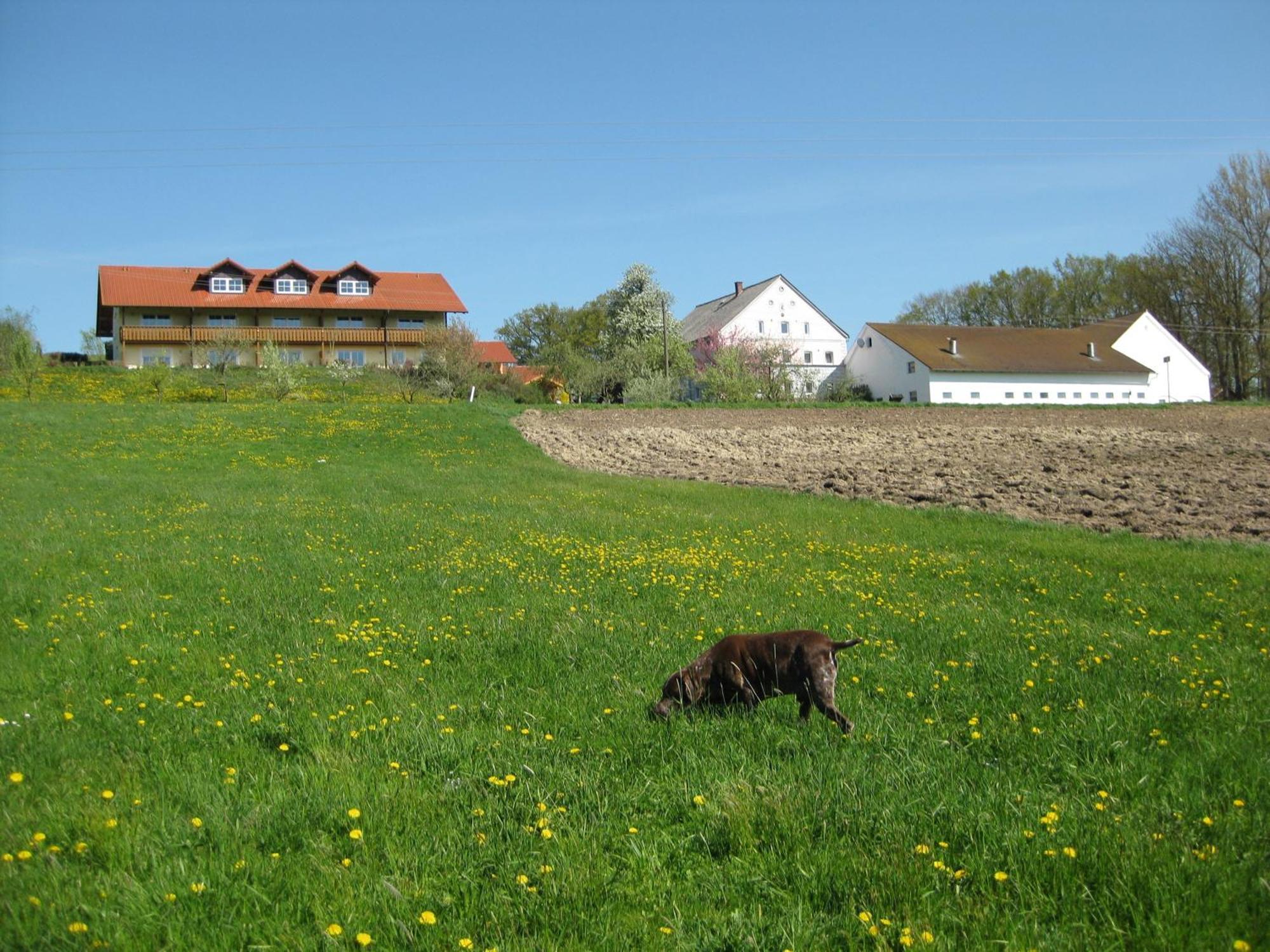 Ferienhof Rieger Rotthalmuenster Exteriér fotografie